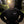 Matanzas Fleece Hoodie