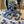 Krakens