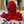 Krakens